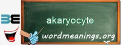 WordMeaning blackboard for akaryocyte